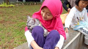 Sebelumnya berak darah lendir kuning. Kenali 7 Penyakit Mematikan Pada Kucing Kumparan Com