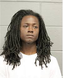 ᐅ Illinois Criminal Records 2009-2025