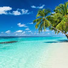 This is the dazzling playground surrounding paradise island resort & spa. Maldives Romantic Holiday Maldives Holiday