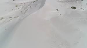 3d brown regular texture tile wall sticker. Ants Are Walking In A Stock Footage Video 100 Royalty Free 1037355848 Shutterstock