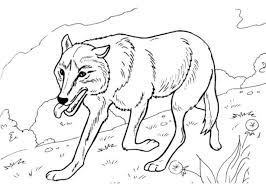 Bei so vielen märchen und geschichten, die es über wölfe gibt, ist es kein wunder, dass dieses tier die kinder fasziniert. Ausmalbilder Wolf Zum Ausdrucken 1ausmalbilder Com