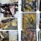 Experiential Meeting: Botanical Print on Paper at.... event in Bustan HaGalil