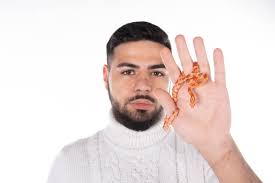 30+ Cho Cells Stock Photos, Pictures & Royalty-Free Images