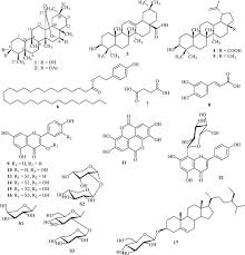 Image result for Phyllanthus muellerianus