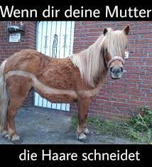 wenn dir deine mutter die haare schneidet haare schneiden tiere mutter