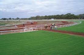 Kalgoorlie Racecourse Horse Racing Live Kalgoorlie Racecourse Club Profile And Details In 2020 Racecourse Horse Racing Horse Racing Track