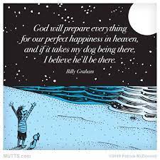 Billy Graham Quote Dog Heaven Cute Baby Pigs Billy Graham