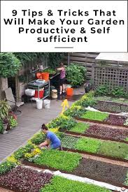 9 Self Sufficiency Gardening Tips Tricks In 2020 Garden Ideas Large Vegetable Garden Design Small Vegetable Gardens