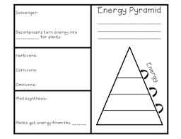 Food Chain And Energy Pyramid Brochure Foldable Energy Pyramid Summer School Science Persuasive Writing Prompts