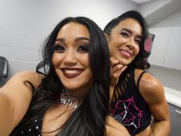 Kaitlyn and AJ.Lee reunited this past weekend at a convention.