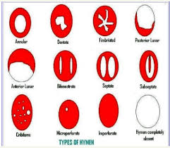 Virusvariantengebiet stattgefunden hat grundsätzlich bei einreise über ein negatives testergebnis. Habe Mich Eh Nicht Selbst Entjungfert Angst Religion Glaube