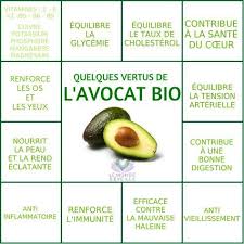 L Avocat Aliments Bons Pour La Sante Conseils Alimentaires Sante