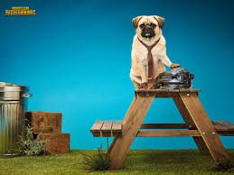 Man looking at some of those old gamerpics does bring back some memories. D O G W I T H H A T X B O X 1 0 8 0 X 1 0 8 0 Zonealarm Results