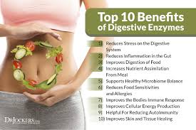 Image result for sprouts improves digestion