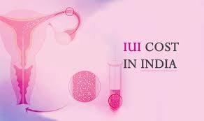 Iui Cost In India Iui Treatment Cost Indira Ivf