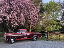 Image result for Dark Auburn 1982 Dodge