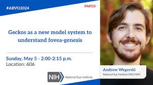 Annette Kaminaka (@AnnetteKaminaka)