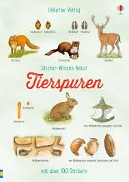 Kostenlose arbeitsblätter und unterrichtsmaterial für den. Sticker Wissen Natur Tierspuren Bei Usborne Verlag Fur Kinderbucher