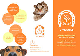 3ème chance - Comportementaliste animalier (chien, chat, cheval)