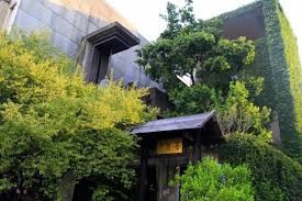 時值盛暑期間 寺外的老梅樹依然蒼翠如昨 在夏日午後陽光的照耀下 更顯其生氣勃勃綠意盎然的英姿 擴散開的枝葉遮掩了大半的門庭 唯獨菩薩寺金色的牌匾閃耀其中 按照導航指示行車於路上 若不刻意觀察周遭環境 很難理會導航稱 目的地已到達 的行車指示 待回過神