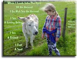 When I Look Into The Eyes Of An Animal I Do Not See An Animal When I Look Into The Eyes Of An Animal I Do Not See An Animal I See A Living Being I See A Friend I See A Soul Anthony Douglas Willia