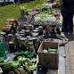 Albany Food Not Bombs Plant Sale
