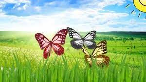 Zburara repede la prima floare. Povestea Materiale Didactice Invatamant Prescolar