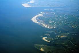 Eine vielzahl von pflanzen und tiere hat sich dem wechselspiel der gezeiten lebensraum angepasst. Schleswig Holstein Wadden Sea National Park Wikipedia
