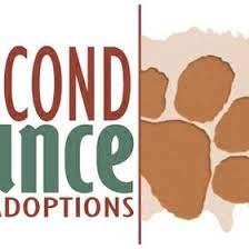 Maybe you would like to learn more about one of these? Second Chance Pet Adoptions 2ndchancepet Profile Pinterest