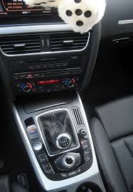 Image result for Ice Silver 2009 S5