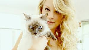 Taylor Swift In Fenomen Kedileri Dr Meredith Grey Ve Dedektif Olivia Benson Olivia Benson Meredith Grey Kedi