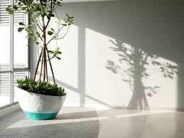 Design divers disponibil prezentarea cât trebuie să fie umiditatea în casă şi ce aparate poţi folosi. Aerul Uscat Cum Ne Afecteaza Sanatatea Si Obiectele Din Casa