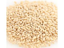 3.7 out of 5 stars, based on 11 reviews 11 ratings current price $12.99 $ 12. Organic Pearled Barley 25lb Bulk Organic Ebay