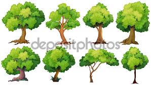 Epingle Par Iftah Gorfine Sur Nature Vegetale En 3d Dessin Arbre Illustration Vegetal Concept Art D Arbre Genealogique