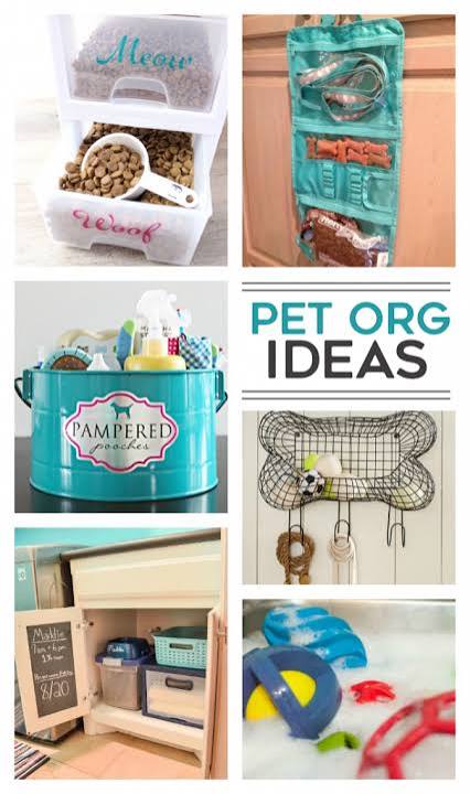 13 Smart Pet Organization Ideas | Kids Activities Blog