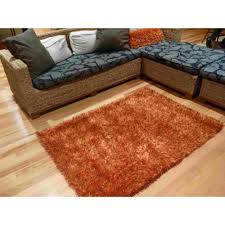 Shaggy Rugs Free Shipping Australia Wide Also Cleaning Products N More Edging Etc Shag Rug Rugs Home Decor
