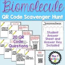 Biomolecules Macromolecules Qr Code Scavenger Hunt Activity Macromolecules Biology Resources High School Activities