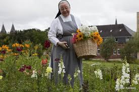 November 1960) ist eine österreichische politikerin (spö). Entschleunigen Beim Klosterurlaub Gastehaus Kloster Arenberg Toureal Reisemagazin
