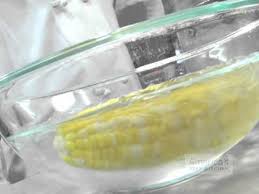 We did not find results for: How To Store Fresh Corn Youtube