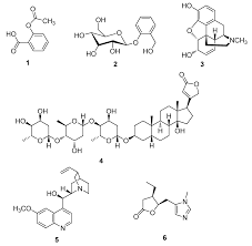 Image result for Jamesbrittenia fodina × huillana