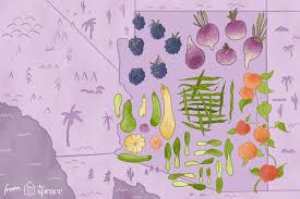 Arizona Seasonal Fruits And Vegetables Guide