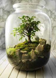 We did not find results for: How To Grow Moss Indoors Quick Guide For Beginners Garden Tabs