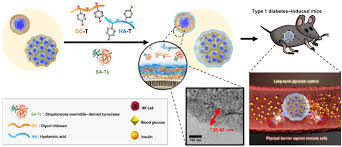 From early this year to mid march, we can see the formation of a descending wedge. Novel Enzymatic Cross Linking Based Hydrogel Nanofilm Caging System On Pancreatic B Cell Spheroid For Long Term Blood Glucose Regulation Science Advances