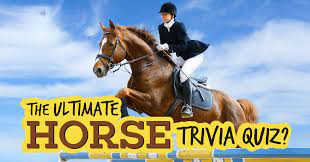 World famous horse race the kentucky derby takes place in louisville, kentucky,. The Ultimate Horse Trivia Quiz Quiz Quizony Com