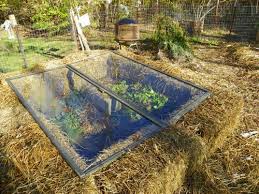 Hay Bale And Repurposed Windows To Make A Winter Greenhouse Loves It With Images Cold Frame Winter Garden Straw Bale Gardening