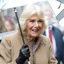 Who Is Tyler Dooley?