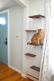 Just high quality modern cat furniture. Cat Shelves Yes You Read That Right Plaster Disaster