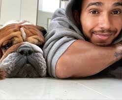 Lewis and Roscoe 🐶♥️♥️ #lewishamilton