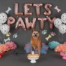 Fun Things To Do On Your Dog S Birthday Lets Pawty Balloons Puppy Birthday Party Decoration Puppy Etsy Dog Birthday Party Pets Dog Birthday Party Dog Birthday