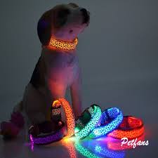For instance, some models come with led strips that go around the entire collar and others have sections where the. Pin On Dog Collar And Leash